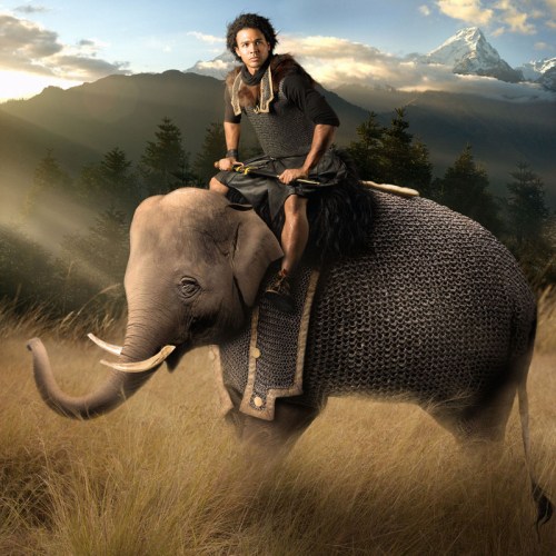 Hannibal Royal Dozen