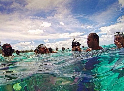 Snorkeling is my new favorite thing. Physically relaxing, visually stunning...